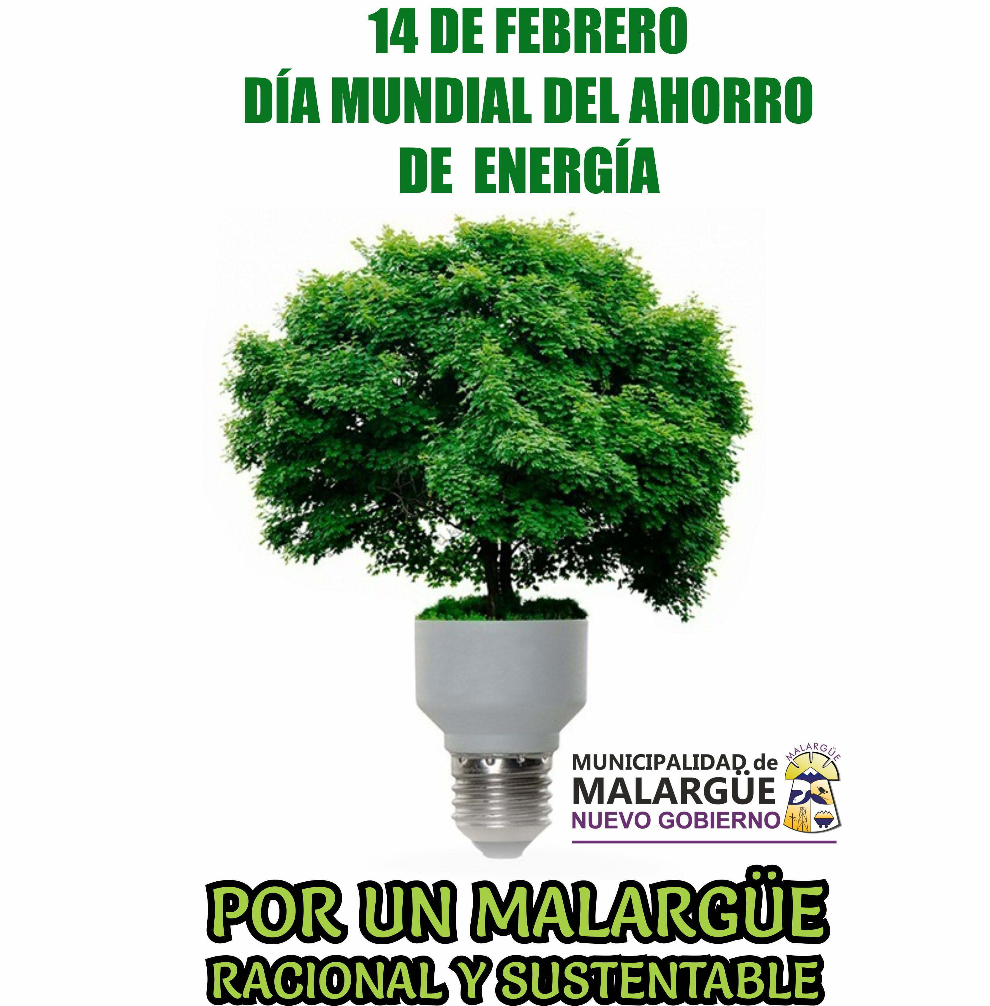 14 de Febrero Día Mundial del Ahorro de Energía – Municipalidad de Malargüe